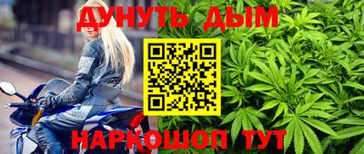 прущие грибы Ливны
