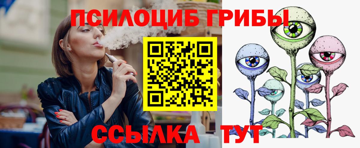 Новомосковск  Псилоцибиновые грибы Psilocybine cubensis  Вход с VPN 